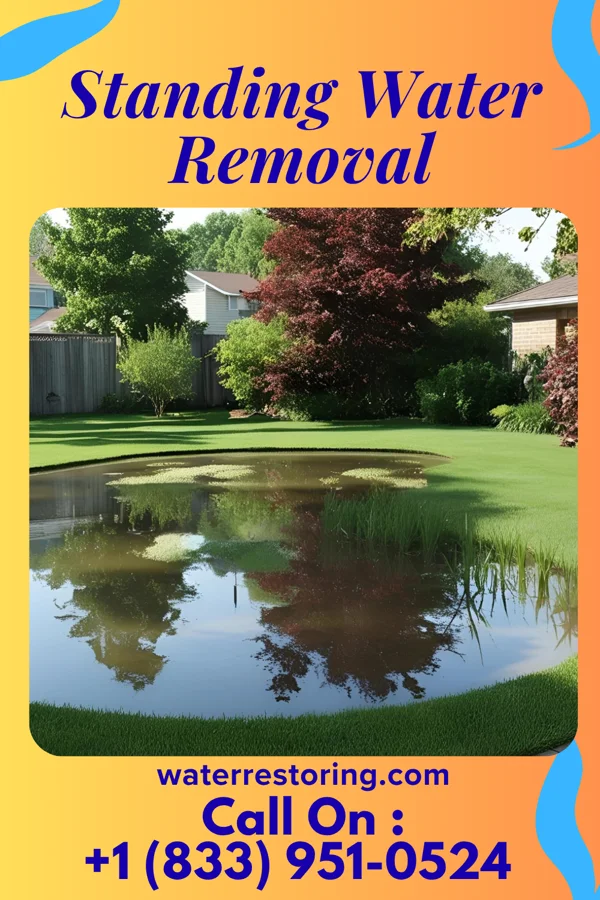Standing Water Removal in Carlton, MN